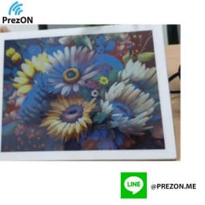 Prezon ESL part no.Prezon-DS253 electronic-shelf-label